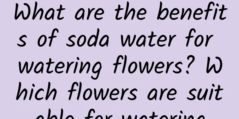 What are the benefits of soda water for watering flowers? Which flowers are suitable for watering
