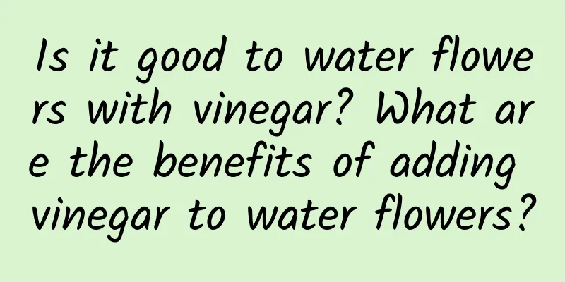 Is it good to water flowers with vinegar? What are the benefits of adding vinegar to water flowers?