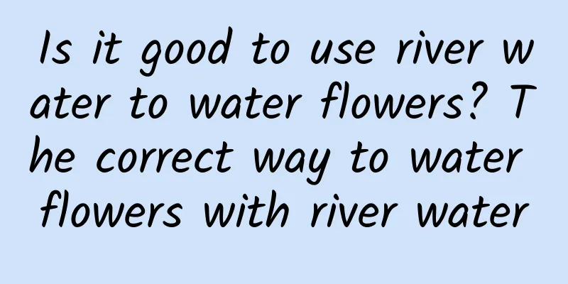 Is it good to use river water to water flowers? The correct way to water flowers with river water