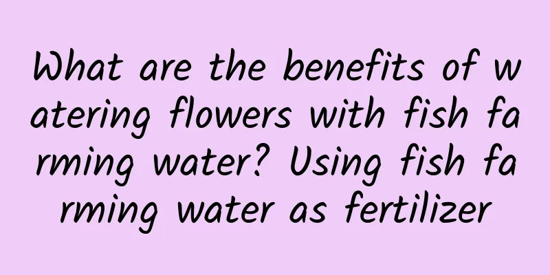 What are the benefits of watering flowers with fish farming water? Using fish farming water as fertilizer