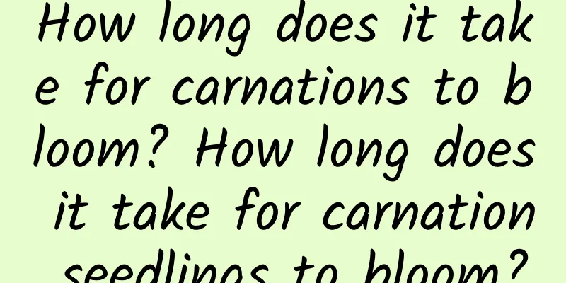 How long does it take for carnations to bloom? How long does it take for carnation seedlings to bloom?