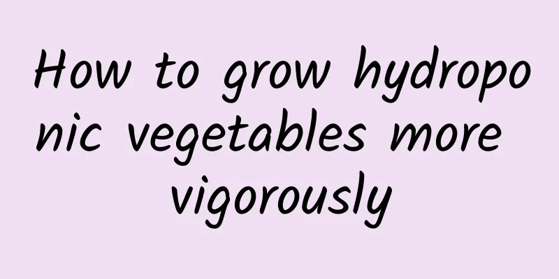 How to grow hydroponic vegetables more vigorously