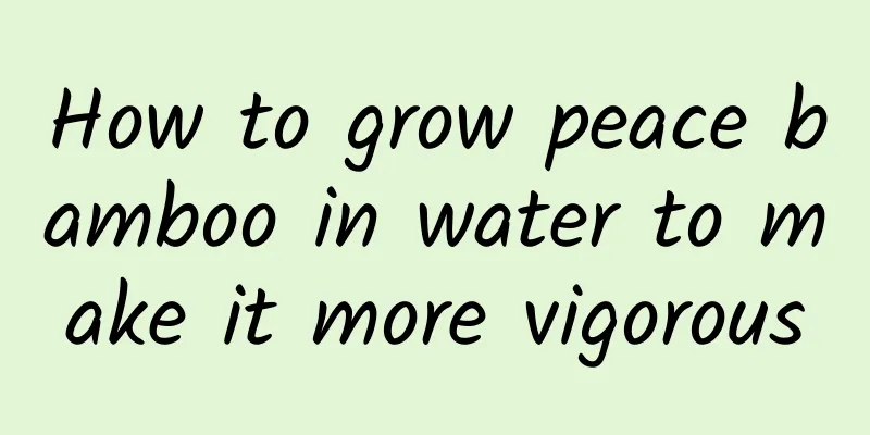 How to grow peace bamboo in water to make it more vigorous