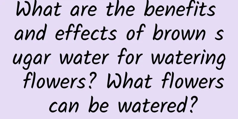 What are the benefits and effects of brown sugar water for watering flowers? What flowers can be watered?