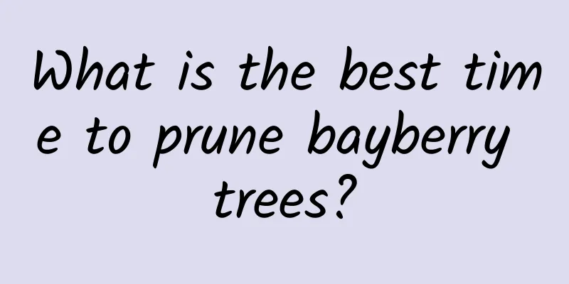 What is the best time to prune bayberry trees?
