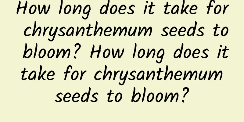 How long does it take for chrysanthemum seeds to bloom? How long does it take for chrysanthemum seeds to bloom?