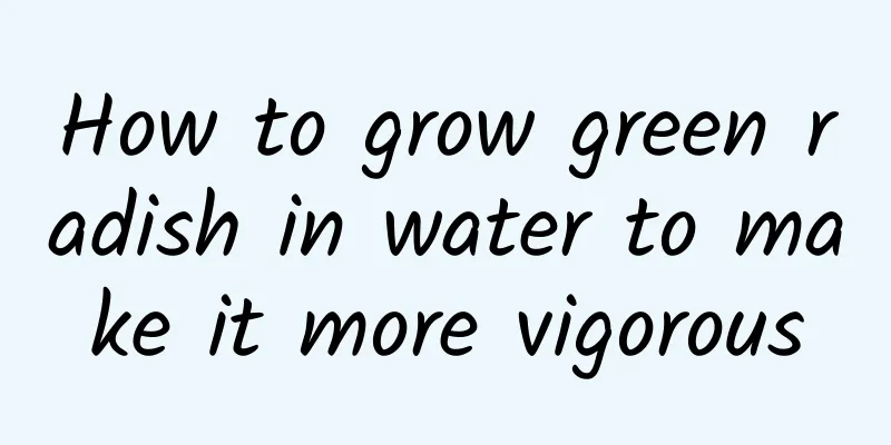 How to grow green radish in water to make it more vigorous