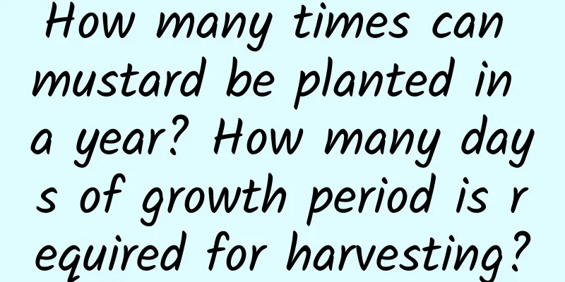 How many times can mustard be planted in a year? How many days of growth period is required for harvesting?
