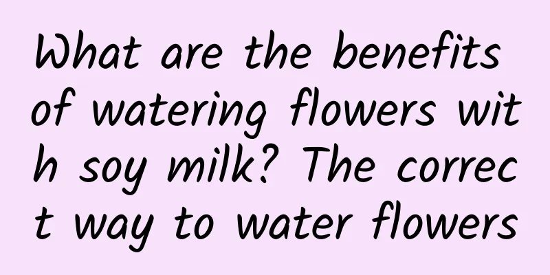 What are the benefits of watering flowers with soy milk? The correct way to water flowers