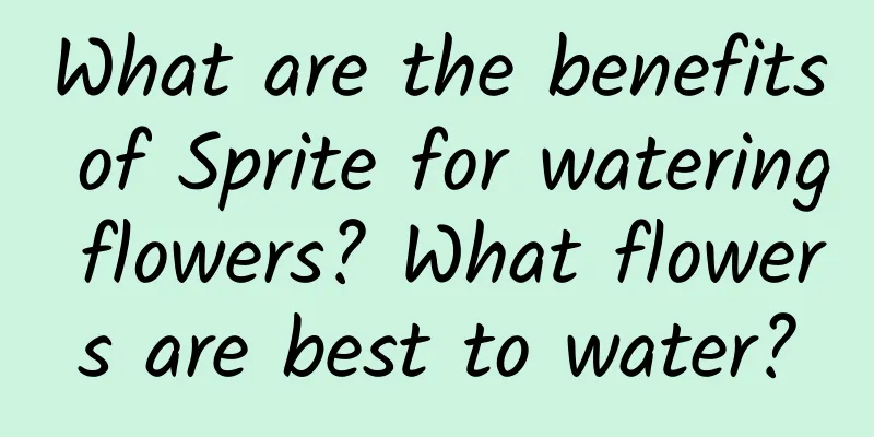 What are the benefits of Sprite for watering flowers? What flowers are best to water?