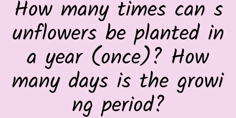 How many times can sunflowers be planted in a year (once)? How many days is the growing period?