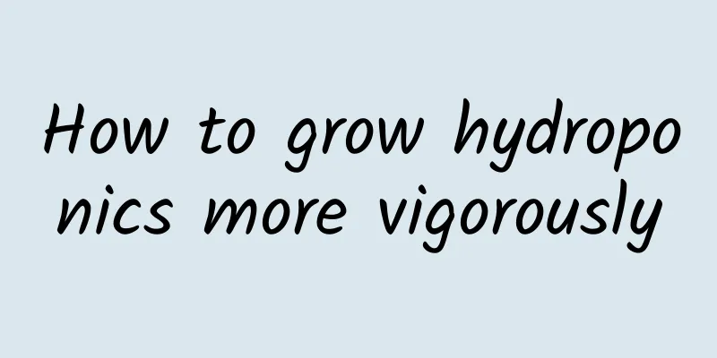 How to grow hydroponics more vigorously