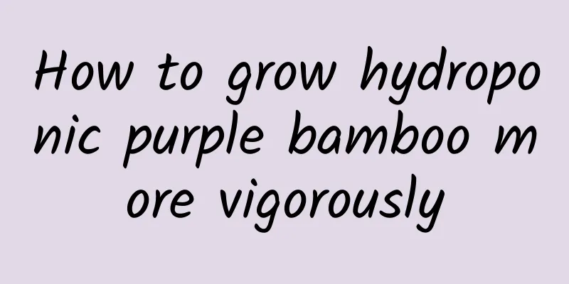 How to grow hydroponic purple bamboo more vigorously