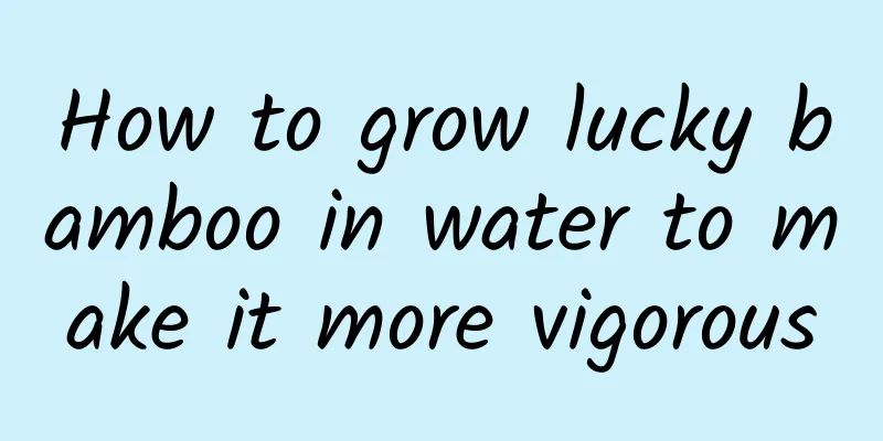 How to grow lucky bamboo in water to make it more vigorous