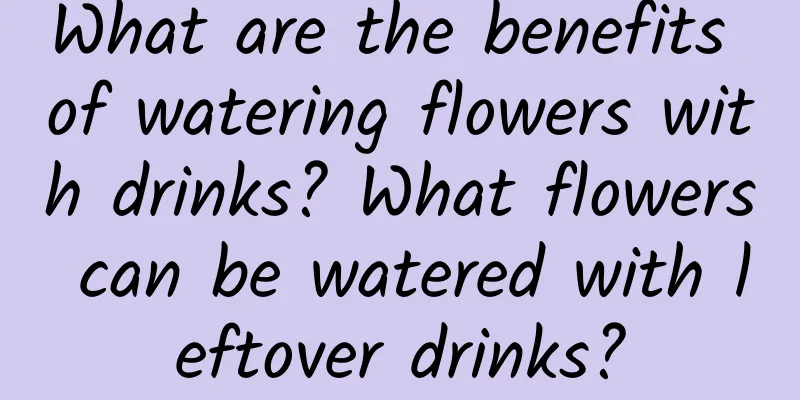 What are the benefits of watering flowers with drinks? What flowers can be watered with leftover drinks?