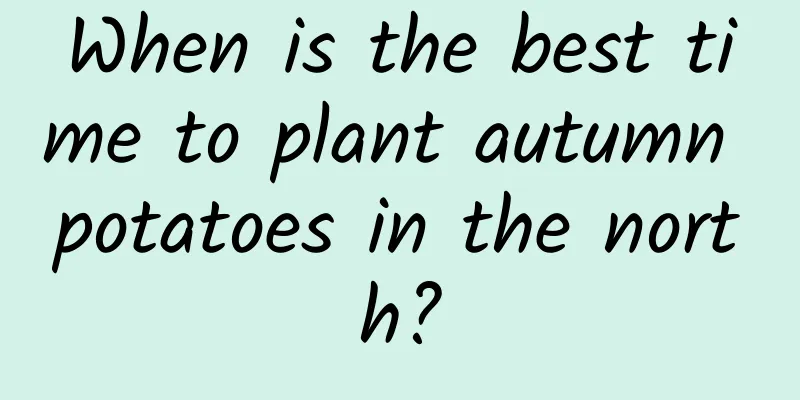 When is the best time to plant autumn potatoes in the north?