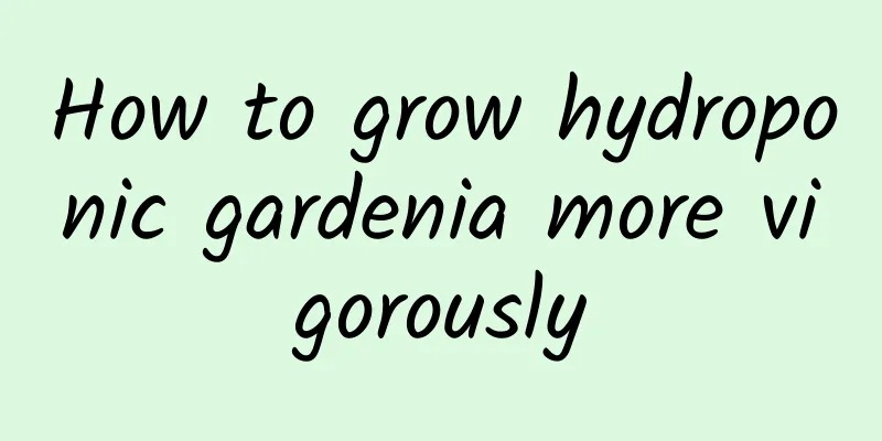 How to grow hydroponic gardenia more vigorously