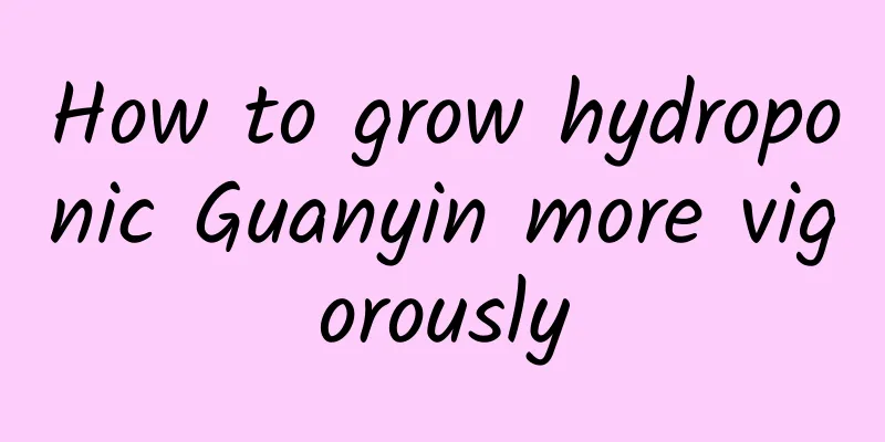How to grow hydroponic Guanyin more vigorously