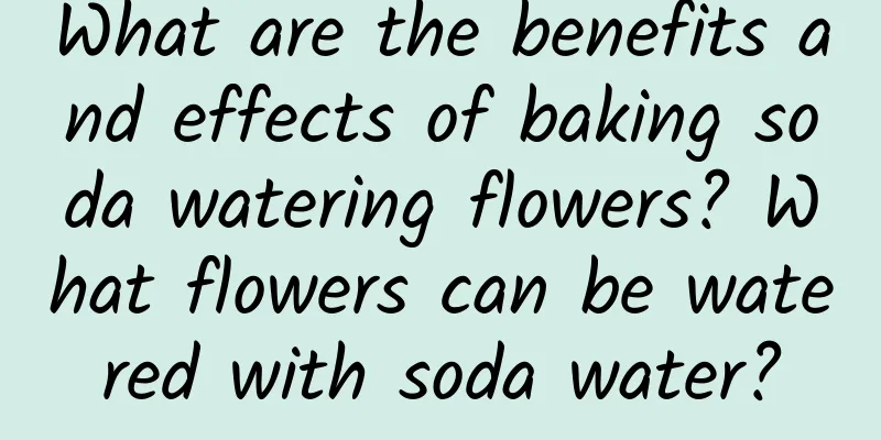 What are the benefits and effects of baking soda watering flowers? What flowers can be watered with soda water?