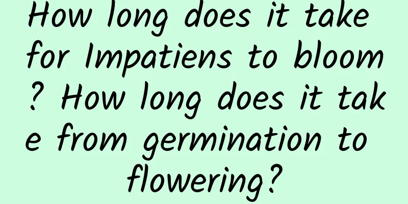 How long does it take for Impatiens to bloom? How long does it take from germination to flowering?