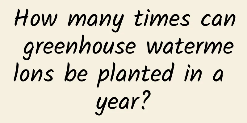 How many times can greenhouse watermelons be planted in a year?