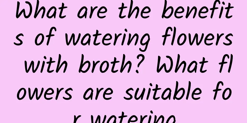 What are the benefits of watering flowers with broth? What flowers are suitable for watering