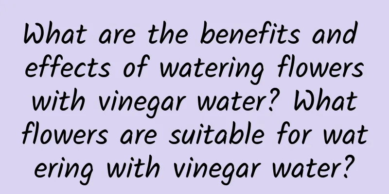 What are the benefits and effects of watering flowers with vinegar water? What flowers are suitable for watering with vinegar water?