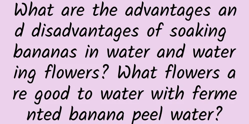What are the advantages and disadvantages of soaking bananas in water and watering flowers? What flowers are good to water with fermented banana peel water?