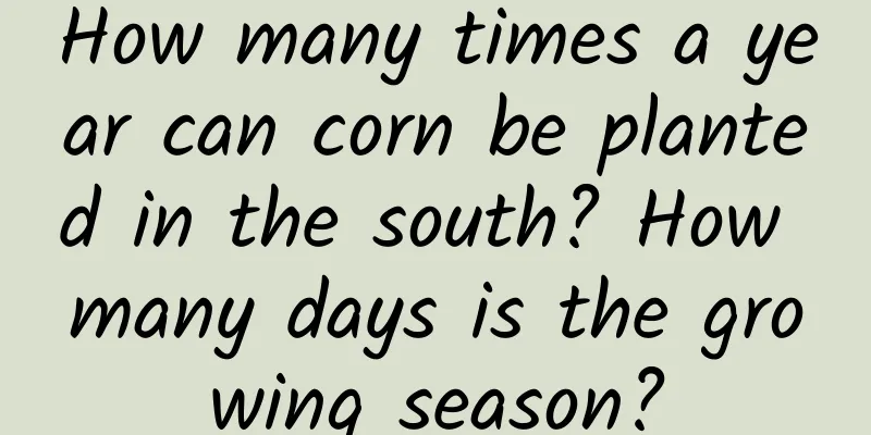 How many times a year can corn be planted in the south? How many days is the growing season?