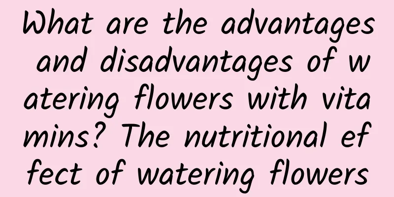 What are the advantages and disadvantages of watering flowers with vitamins? The nutritional effect of watering flowers