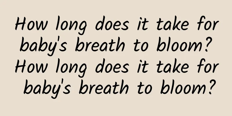 How long does it take for baby's breath to bloom? How long does it take for baby's breath to bloom?