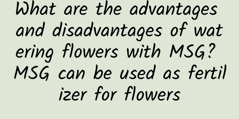 What are the advantages and disadvantages of watering flowers with MSG? MSG can be used as fertilizer for flowers