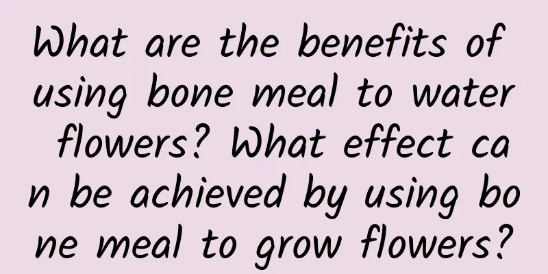 What are the benefits of using bone meal to water flowers? What effect can be achieved by using bone meal to grow flowers?