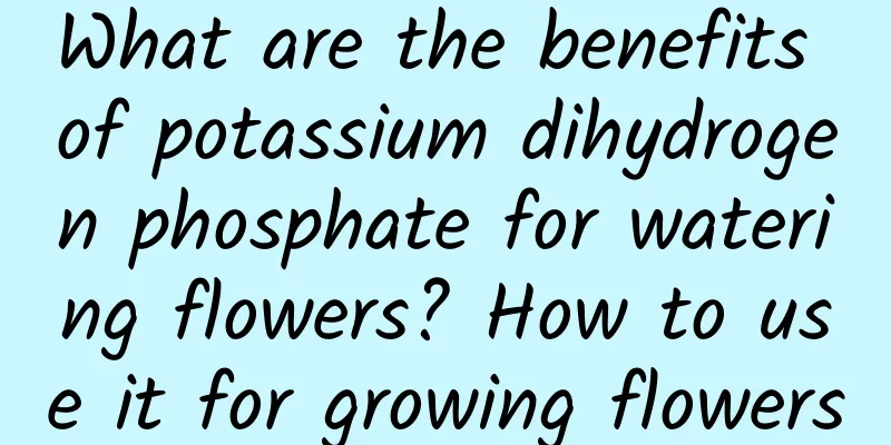 What are the benefits of potassium dihydrogen phosphate for watering flowers? How to use it for growing flowers