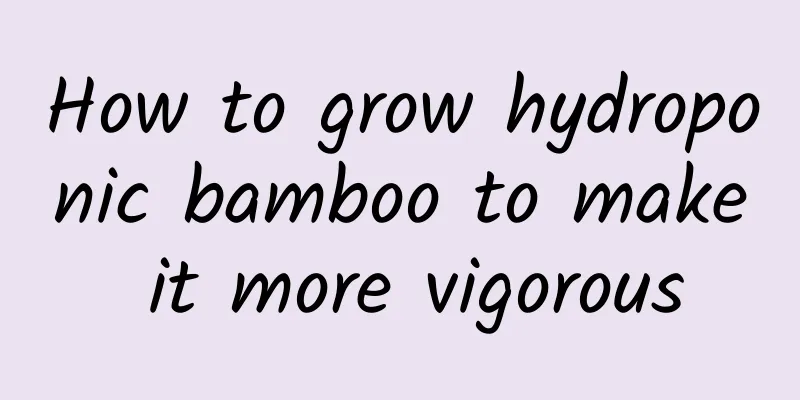 How to grow hydroponic bamboo to make it more vigorous
