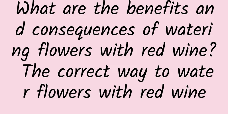 What are the benefits and consequences of watering flowers with red wine? The correct way to water flowers with red wine