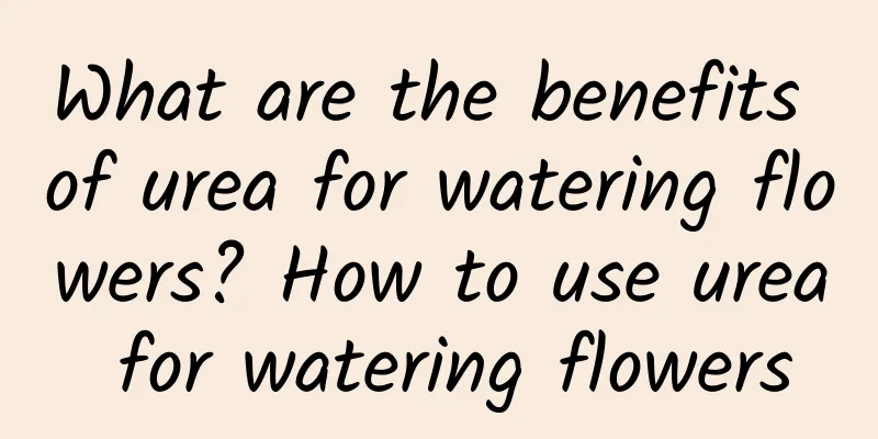 What are the benefits of urea for watering flowers? How to use urea for watering flowers