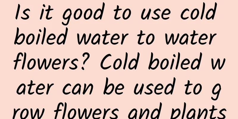 Is it good to use cold boiled water to water flowers? Cold boiled water can be used to grow flowers and plants