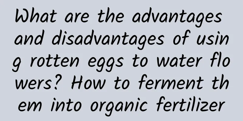 What are the advantages and disadvantages of using rotten eggs to water flowers? How to ferment them into organic fertilizer