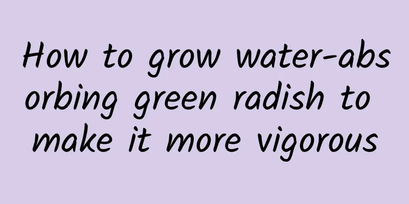 How to grow water-absorbing green radish to make it more vigorous