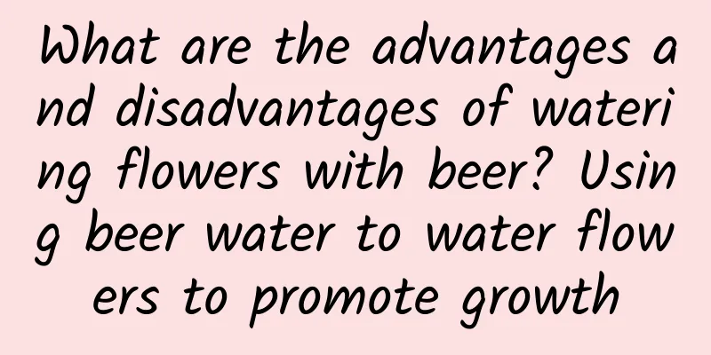 What are the advantages and disadvantages of watering flowers with beer? Using beer water to water flowers to promote growth