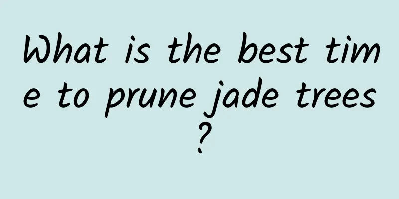 What is the best time to prune jade trees?