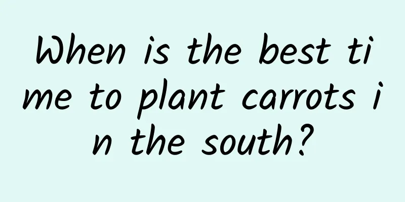 When is the best time to plant carrots in the south?