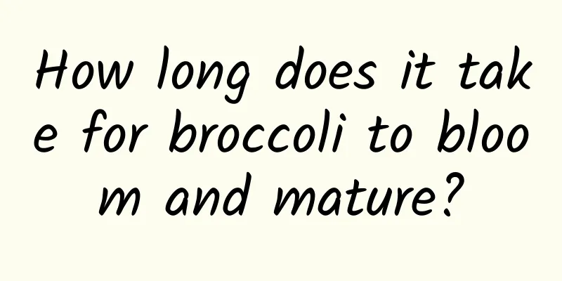 How long does it take for broccoli to bloom and mature?
