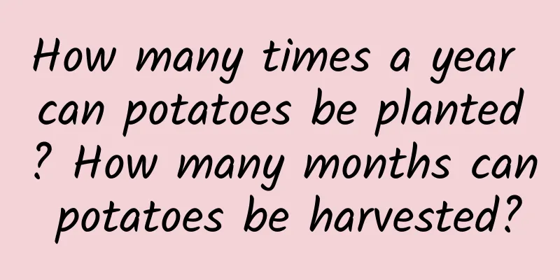 How many times a year can potatoes be planted? How many months can potatoes be harvested?