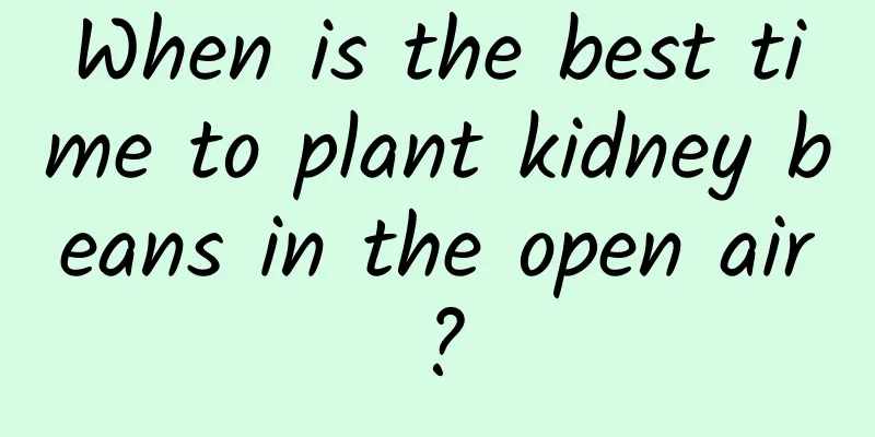 When is the best time to plant kidney beans in the open air?