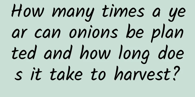 How many times a year can onions be planted and how long does it take to harvest?