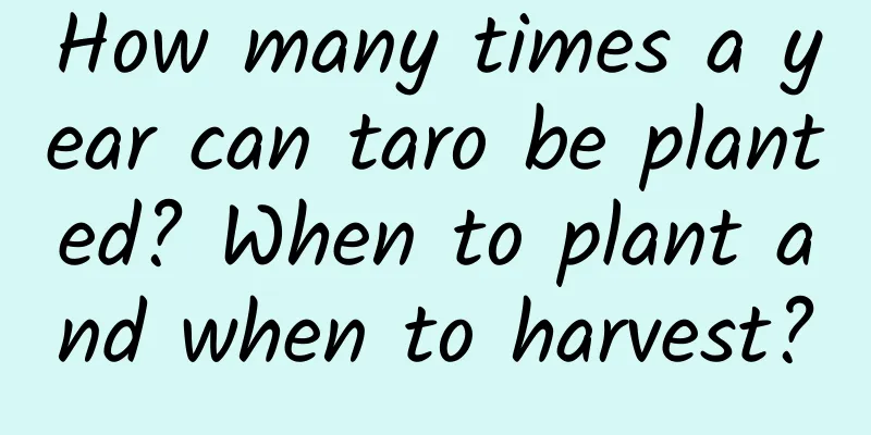 How many times a year can taro be planted? When to plant and when to harvest?