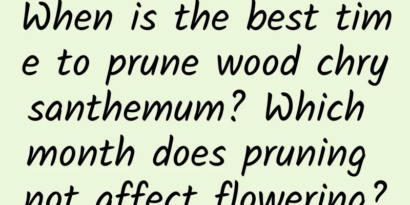 When is the best time to prune wood chrysanthemum? Which month does pruning not affect flowering?