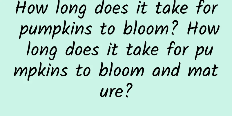 How long does it take for pumpkins to bloom? How long does it take for pumpkins to bloom and mature?